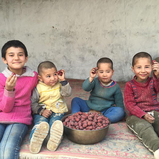 【助农扶贫】天山红颜-新疆灰枣（原枣） 原生态自然风干无添加 香甜细腻核小 商品图0