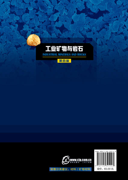工业矿物与岩石  马鸿文 第四版  主编 地质矿业冶金建材类高校材料科学与工程 材料化学 材料物理 资源勘查工程等专业教材书籍 商品图1