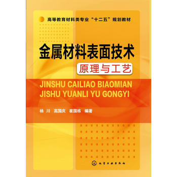 金属材料表面技术原理与工艺(杨川) 商品图0