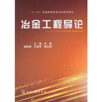 冶金工程导论 王维 商品图0