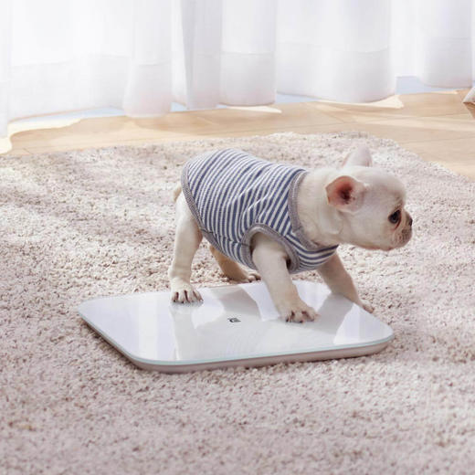 小米体重秤2 白色 通用 商品图1