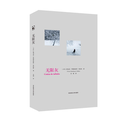 无限灰 维克托·罗德里格斯·努涅斯 四十年诗歌缩影 西班牙语文学世界代表性诗人之一 商品图0