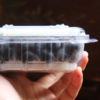 有机蓝莓（预售） | 合作生产*Organic blueberry | Coproduction 商品缩略图4