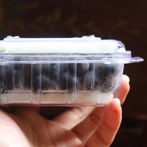 有机蓝莓（预售） | 合作生产*Organic blueberry | Coproduction 商品图4