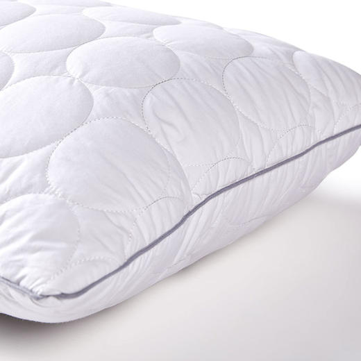 HBZX-008 HUGO BOSS 舒适鹅毛枕 商品图1