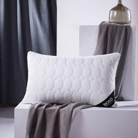 HBZX-008 HUGO BOSS 舒适鹅毛枕