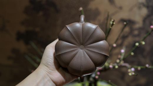 春华秋硕 紫砂壶 范坚作品 260cc 商品图1