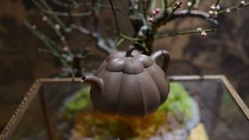 春华秋硕 紫砂壶 范坚作品 260cc