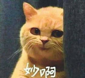 fx供货gy0001