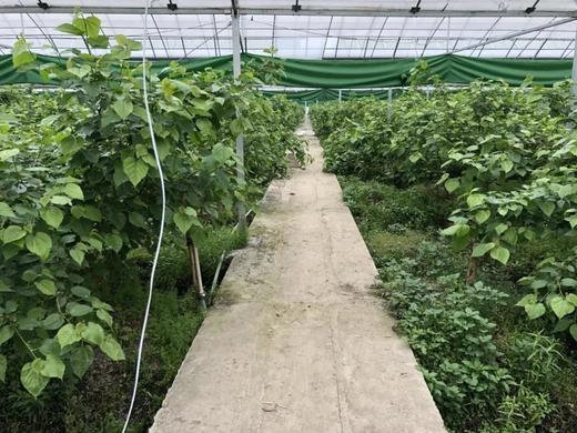 光辉满减送测试勿动111 商品图1