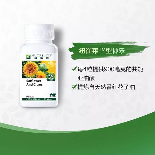 纽崔莱型体乐 /燃烧脂肪/增加肌肉/收减小腹/防止反弹/提高骨密度/每日两次每次四片 商品图6
