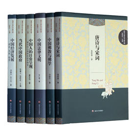 南京大学孔子新汉学（全6册）