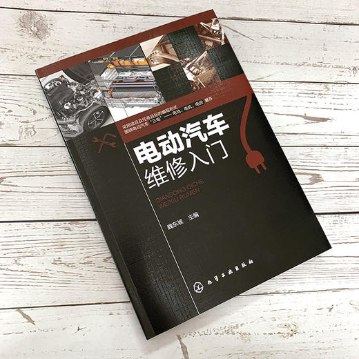 电动汽车维修入门 商品图1