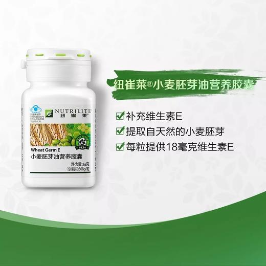 纽崔莱小麦胚芽油营养胶囊（维生素E）/每粒18毫克VE/每日1粒/保质期36个月 商品图4