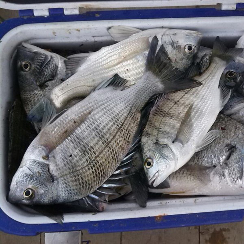 Ұ()250g50g