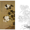陈之佛竖幅工笔花鸟白描底稿-白芙蓉花-QA44 商品缩略图0