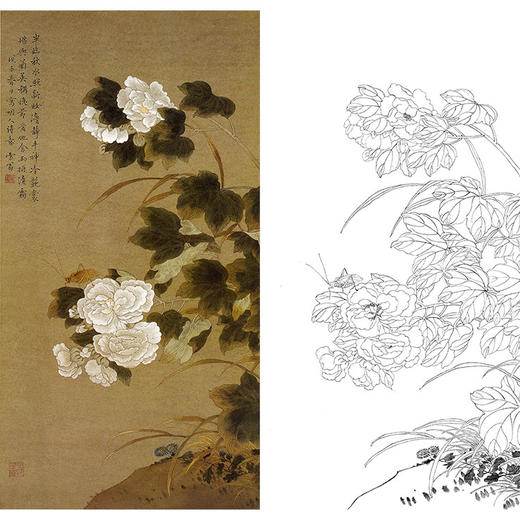 陈之佛竖幅工笔花鸟白描底稿-白芙蓉花-QA44 商品图0