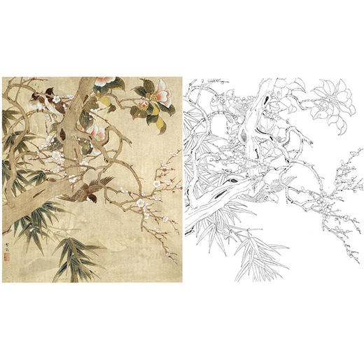 陈之佛工笔花鸟白描底稿《飞鸟迎春》-斗方小品册页-多种白描尺寸可选-QA49 商品图0