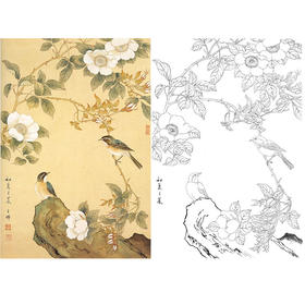 陈之佛工笔花鸟白描底稿《初夏之晨》-斗方小品册页-多种白描尺寸可选-QA45