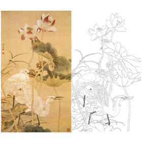 陈之佛竖幅工笔花鸟白描底稿-秋荷白鹭-QA58
