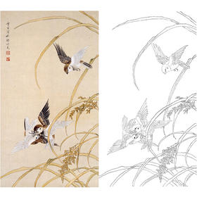陈之佛竖幅工笔花鸟白描底稿《斗雀》-多种白描尺寸可选-QA47