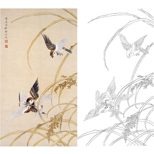 陈之佛竖幅工笔花鸟白描底稿《斗雀》-多种白描尺寸可选-QA47 商品图0