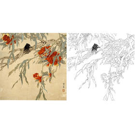 陈之佛工笔花鸟白描底稿《榴花鸣蝉》-斗方小品册页-QA54