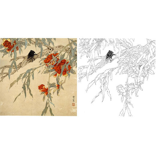 陈之佛工笔花鸟白描底稿《榴花鸣蝉》-斗方小品册页-QA54 商品图0