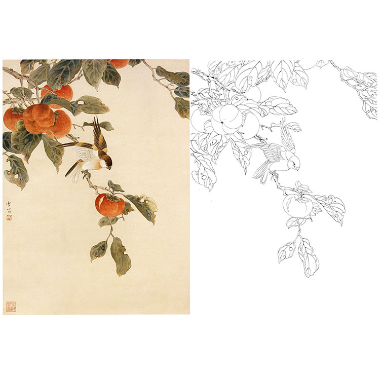 陈之佛工笔花鸟白描底稿-红柿小鸟-斗方小品册页-QA50