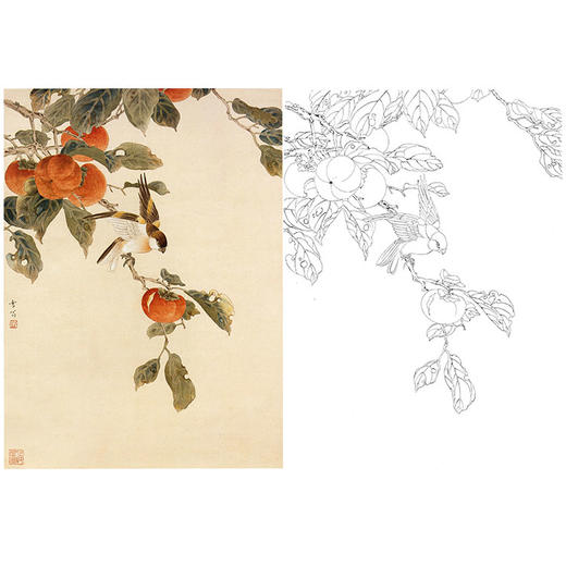 陈之佛工笔花鸟白描底稿-红柿小鸟-斗方小品册页-QA50 商品图0