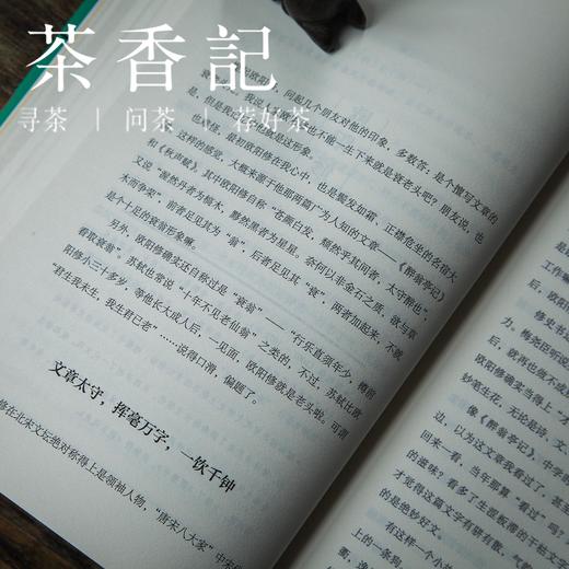 茶香记 《宋朝的腔调》石继航著 透过19位诗词名人全方位感受宋朝腔调  人文历史读物 趣味易读 商品图1