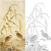 陈之佛竖幅工笔花鸟白描底稿-鹌鹑-QA43 商品缩略图0