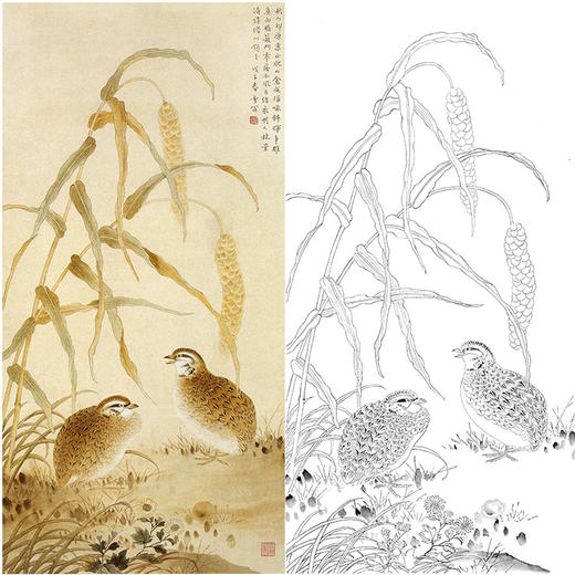 陈之佛竖幅工笔花鸟白描底稿-鹌鹑-QA43 商品图0
