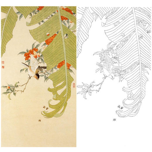 陈之佛竖幅工笔花鸟白描底稿-蕉荫小鸟-QA52 商品图0