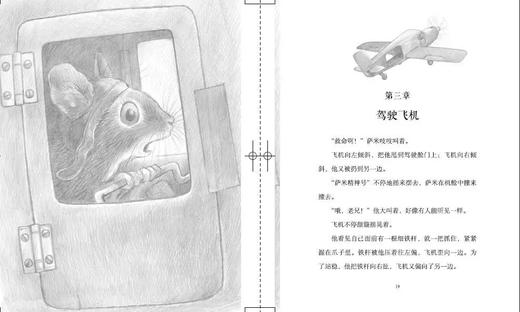 《国际获奖大作家系列》精选10册 7-15岁世界儿童文学读物 商品图7