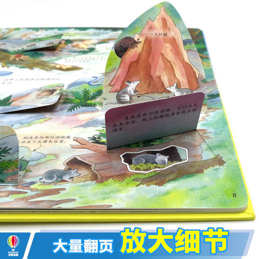 尤斯伯恩看里面·揭秘地下  商品图5