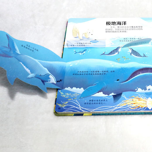 尤斯伯恩看里面（低幼版）·揭秘海洋 Look Inside揭秘系列图书，荣获英国“地理学会”银奖，50多张翻页，揭开大千世界的精彩 商品图5