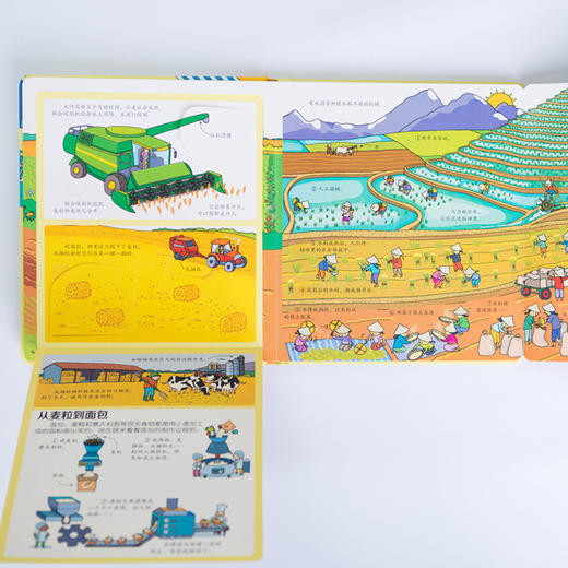 尤斯伯恩看里面（低幼版）·揭秘食物 英国Usborne出版社  Look Inside揭秘系列图书 风靡全球的科普翻翻书 被翻译成26种语言 60多张翻页 商品图3