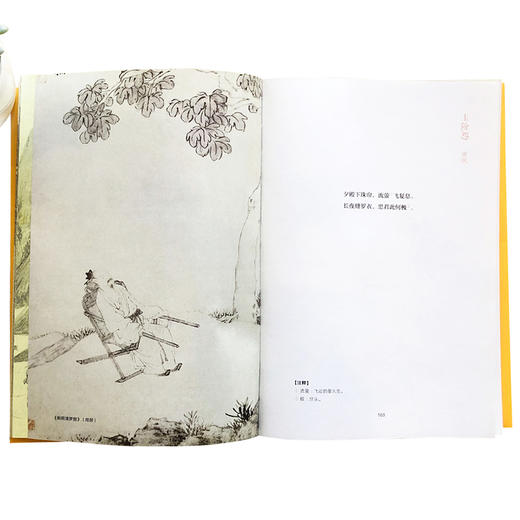 诗画共读：乐府诗选 唐伯虎插图版 唐咏章著  中信出版社图书 正版书籍 商品图5