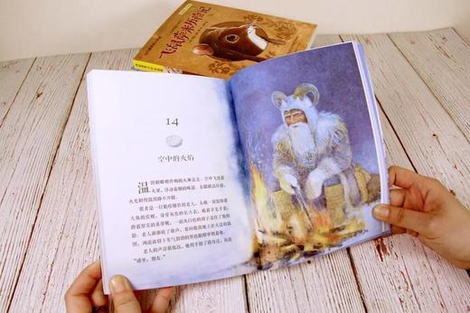 《国际获奖大作家系列》精选10册 7-15岁世界儿童文学读物 商品图5