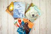 《国际获奖大作家系列》精选10册 7-15岁世界儿童文学读物 商品缩略图2