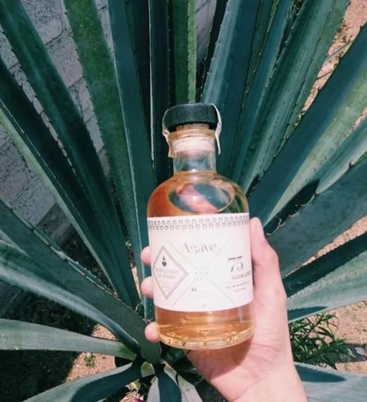 巴黎特级金酒/伏特加酒 商品图1