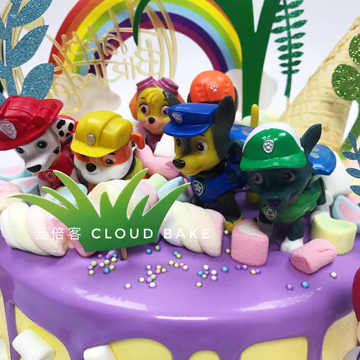【汪汪队主题蛋糕】丛林探险 商品图3