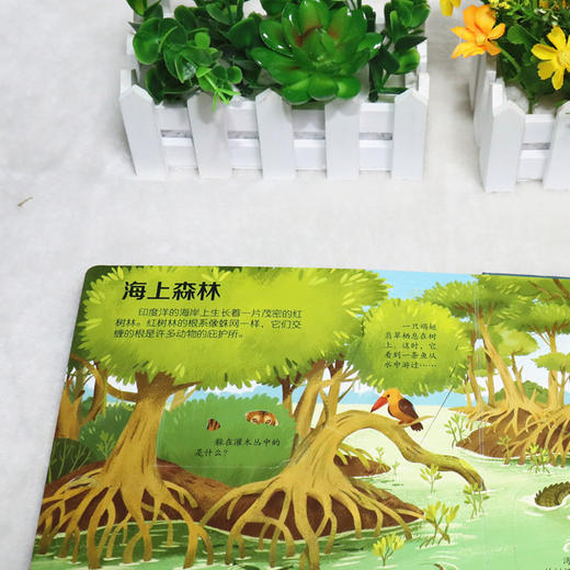 尤斯伯恩看里面（低幼版）·揭秘海洋 Look Inside揭秘系列图书，荣获英国“地理学会”银奖，50多张翻页，揭开大千世界的精彩 商品图8