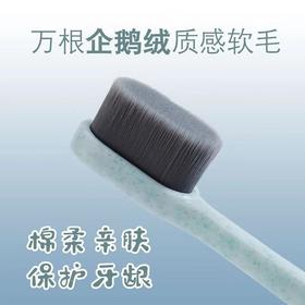 【万根刷毛洁净护龈  2只装】企鹅绒超细软毛牙刷 抖音同款家用情侣孕妇月子牙刷