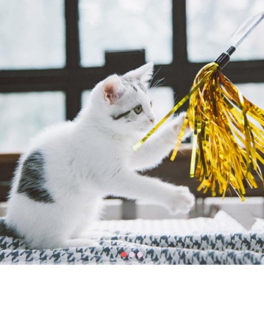 touchcat 逗猫棒 商品图0