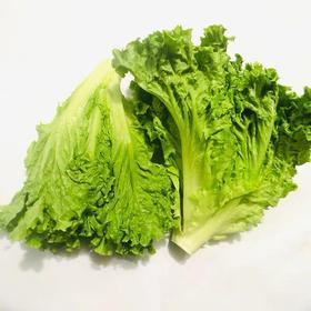 生菜/500克