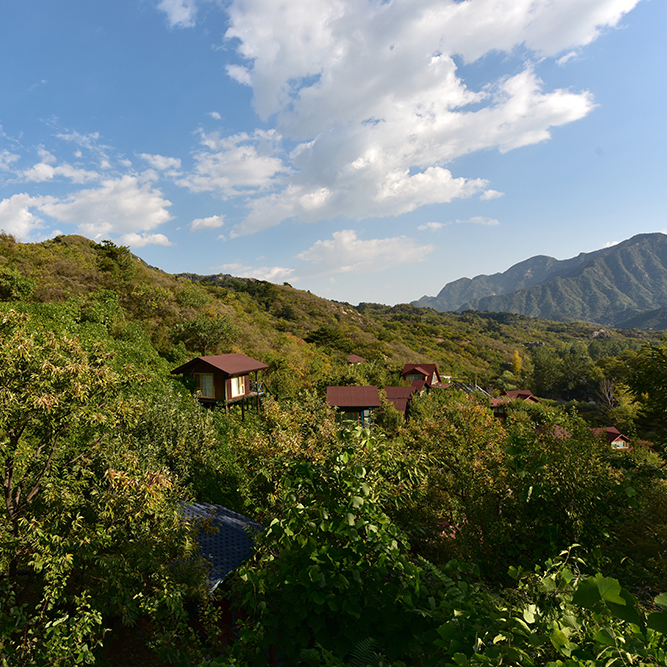 山居田园风(山15)