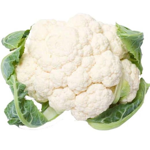 花菜约500克 商品图0