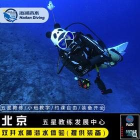 北京泳池DSD体验/高氧课程/水肺复习